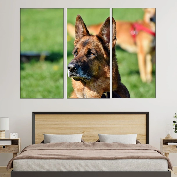 Портрет на немска овчарка  - картина пано за стена - Image 2