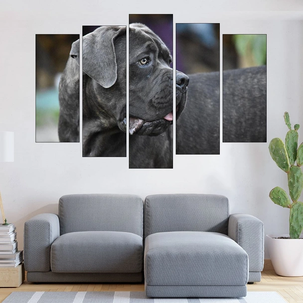 Черен Cane Corso  - картина пано за стена - Image 3