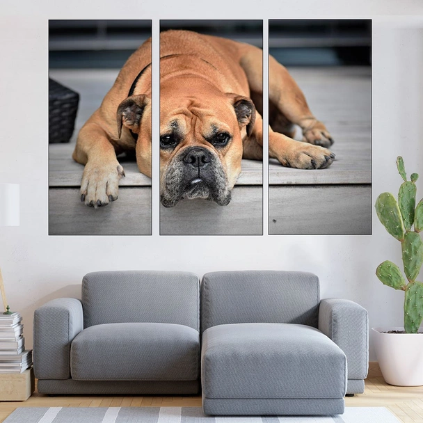 Легнал булдог - картина пано за стена - Image 2