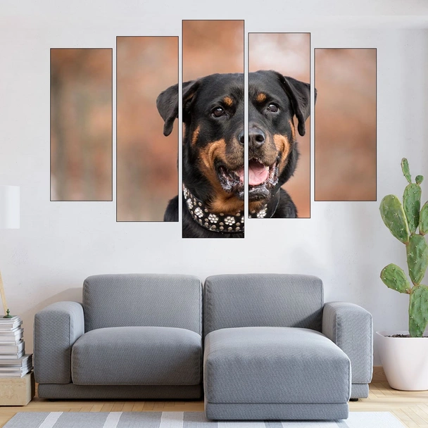 Портрет на черен ротвайлер - картина пано за стена - Image 3