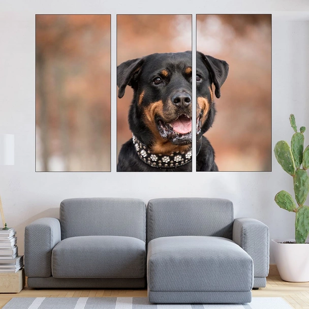 Портрет на черен ротвайлер - картина пано за стена - Image 2