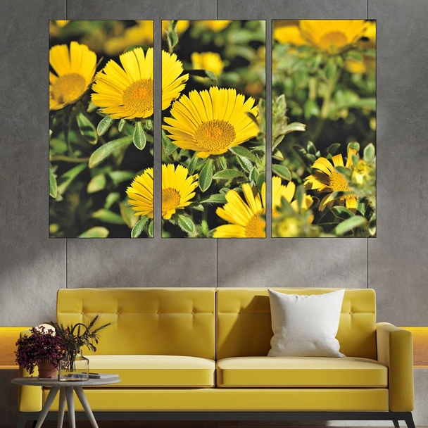 Цъфнала жълта Астра - картина пано за стена - Image 2