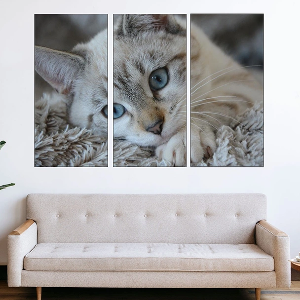 Портрет на малко коте - картина пано за стена - Image 2