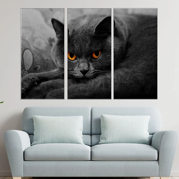 Британска дългокосместа котка - картина пано за стена - Image 2