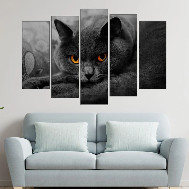 Британска дългокосместа котка - картина пано за стена - Image 3