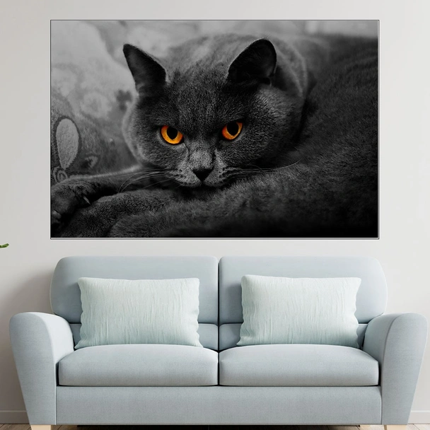 Британска дългокосместа котка - картина пано за стена