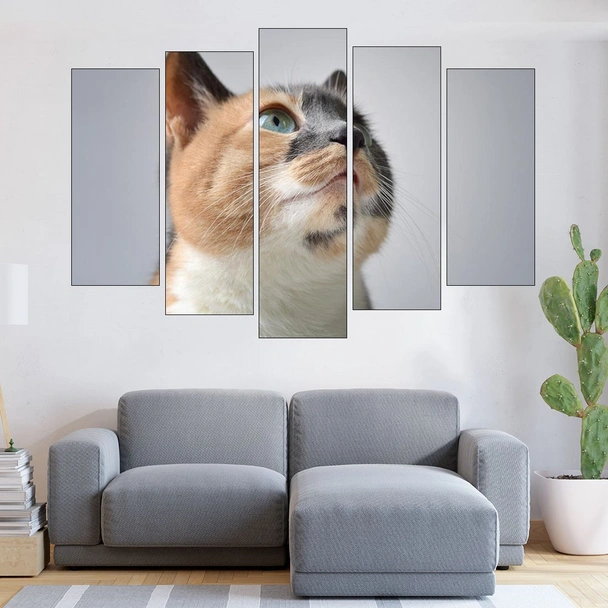 Пъстро домашно коте - картина пано за стена - Image 3