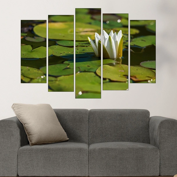 Бяла водна лилия във водата - картина пано за стена - Image 3