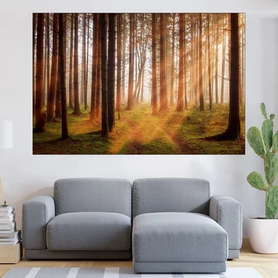 Изгрев в борова гора - картина пано за стена