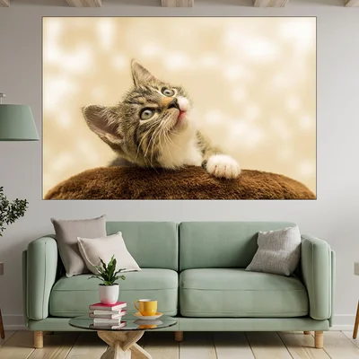 Малко коте - портрет - картина пано за стена