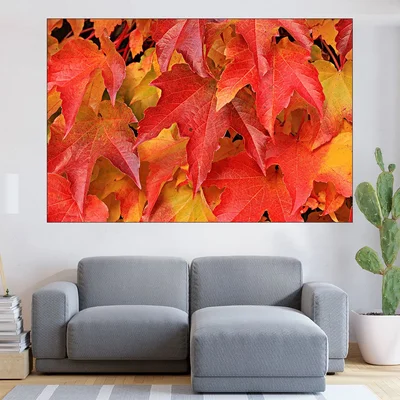 Лозови есенни листа - картина пано за стена