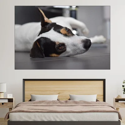 Легнал Джак Ръсел  - картина пано за стена