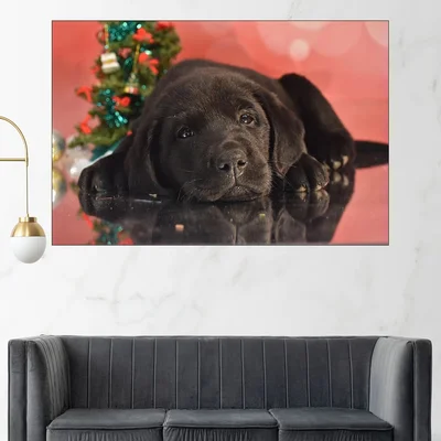 Малко черно кученце - картина пано за стена