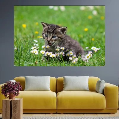 Коте и маргаритки - картина пано за стена