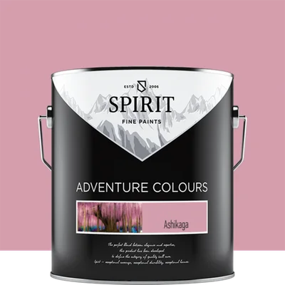 Боя за стени Spirit Adventure Colours - 2.5 л - ASHIKAGA