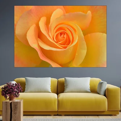 Цъфнала жълта роза в близък план - картина пано за стена