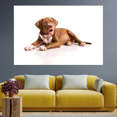 Портрет на кафяв питбул - картина пано за стена