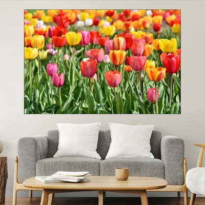 Поле от лалета - картина пано за стена