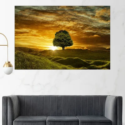 Залез и самотно дърво - картина пано за стена