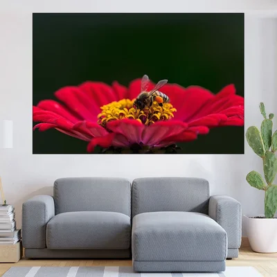 Пчела върху циния - картина пано за стена