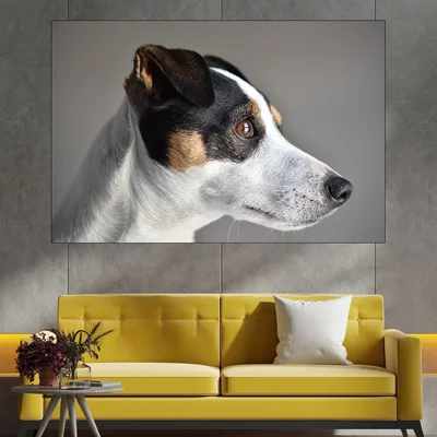 Портрет на куче Джак Ръсел  - картина пано за стена