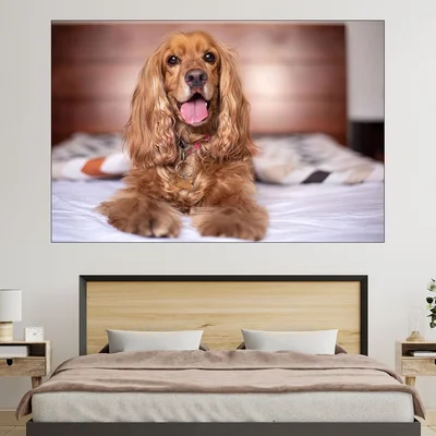 Портрет на Английски Кокер Шпаньол - картина пано за стена