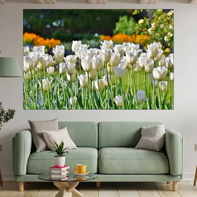 Цъфнали бели лалета - картина пано за стена