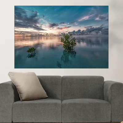 Мангрово дърво преди изгрев - картина пано за стена