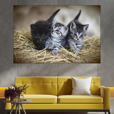 Три малки котета - картина пано за стена