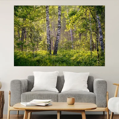 Брезова гора на разсъмване - картина пано за стена