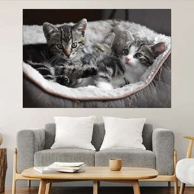 Малки котета в панер  - картина пано за стена