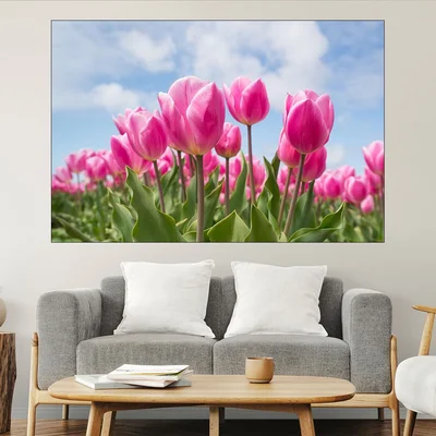 Поле с розови лалета - картина пано за стена