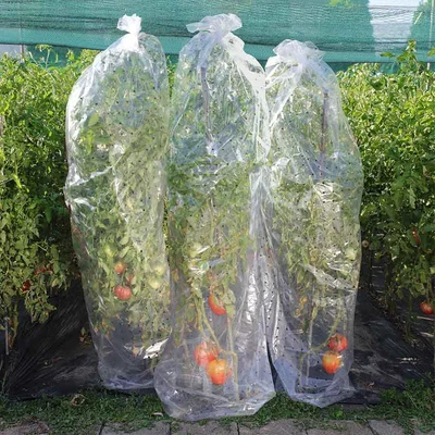 Предпазно покривало за домати тип ръкав 15 м HERLY