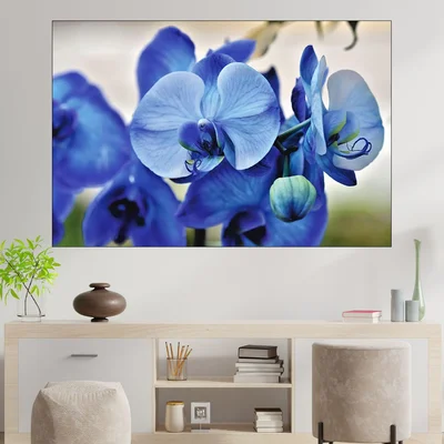 Сини орхидеи отблизо - картина пано за стена