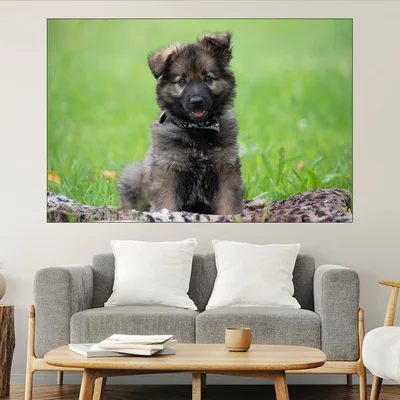 Малко кученце на поляната - картина пано за стена