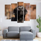 Портрет на черен лабрадор - картина пано за стена - Thumbnail 3