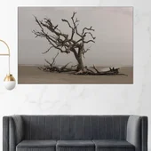 Сухо дърво на плажа - картина пано за стена - Thumbnail 1