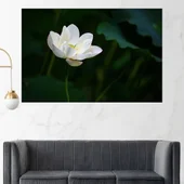 Цъфнал бял лотос - картина пано за стена - Thumbnail 1