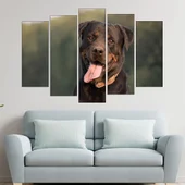 Близък кадър на ротвайлер - картина пано за стена - Thumbnail 3