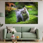 Малко коте в гората - картина пано за стена - Thumbnail 1