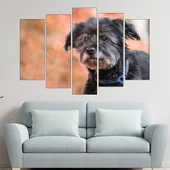 Потрет на черно куче  - картина пано за стена - Thumbnail 3