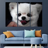 Портрет на малък Померан - картина пано за стена - Thumbnail 2