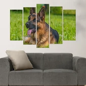Немска овчарка на ливадата - картина пано за стена - Thumbnail 3