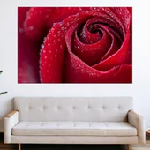 Роса по червена роза - картина пано за стена - Thumbnail 1