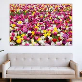 Поле с лалета в Холандия - картина пано за стена - Thumbnail 1