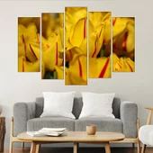 Жълти лалета в близък план - картина пано за стена - Thumbnail 3