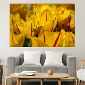 Жълти лалета в близък план - картина пано за стена - Thumbnail 1