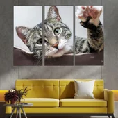 Игрива малка котка - картина пано за стена - Thumbnail 2