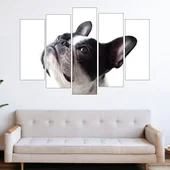 Портрет на френски булдог - картина пано за стена - Thumbnail 3