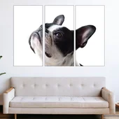 Портрет на френски булдог - картина пано за стена - Thumbnail 2